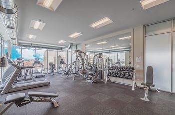Free weights in fitness center